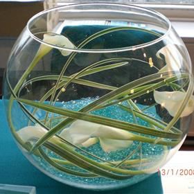 fwthumbCalla Goldfish.jpg